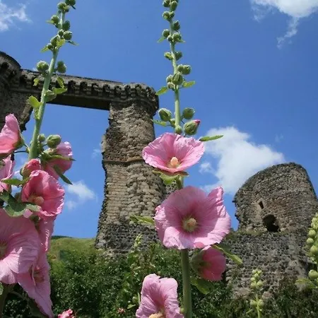 Maison De Charme En Pierre Au Bord D'un Ruisseau, Proche D'un Bourg Medieval - Jardin Et Garage Inclus - Fr-1-582-151 * Allègre